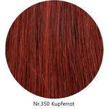 25 Extensions